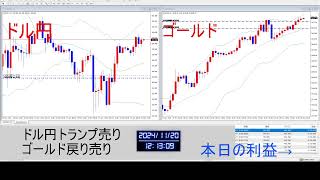 毎日FX24時間「生LIVE」配信中2024年11月18日月0950時点 トランプトレード [upl. by Barbaraanne]