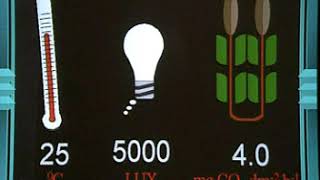 How light intensity affects photosynthesis [upl. by Bigler208]