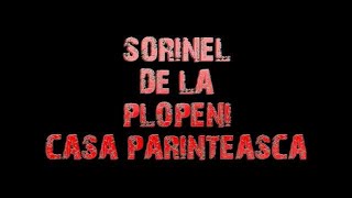 SORINEL DE LA PLOPENI CASA PARINTEASCA [upl. by Ahsiam]