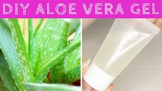 How to Make Aloe Vera Gel at Home from Scratch  DIY Aloe Vera Gel [upl. by Denman]