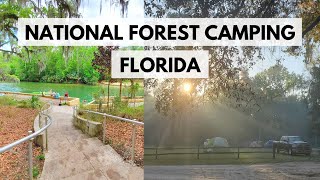 Ocala National Forest camping at Salt Springs Recreation Area campground [upl. by Trstram644]