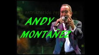 COBARDE COBARDE  ANDY MONTAÑEZ [upl. by Dorr]