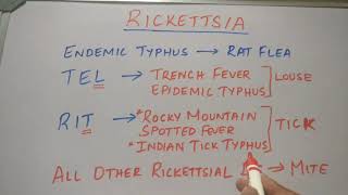 MEDICAL MNEMONIC POCKET RICKETTSIA [upl. by Clower]