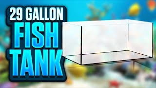 29 Gallon Fish Tank Pros and Cons  Is This The Perfect Starter Aquarium [upl. by Avin]