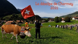 La désalpe de Charmey 2021  Canton de Fribourg  Suisse [upl. by Ennoval]