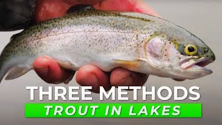 TOP 3 Trout Fishing Tactics For Lakes amp Ponds IN DEPTH HOW TO [upl. by Africa]