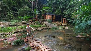 2 years living in forest build pond raise school of carp Harvesting amp catching fish after 1 year [upl. by Mok148]