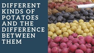 Different kinds of potatoes and the difference between them [upl. by Sileray316]