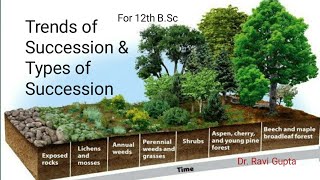 Trends of Succession and Types [upl. by Senaj]