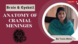 Anatomy of Cranial Meninges  Bangla Demonstration of Cranial Meninges  Viscera of Meninges [upl. by Faro]