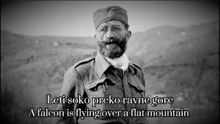 quotЛети соко преко равне гореquot  Chetnik Patriotic Song Lyrics [upl. by Oam]