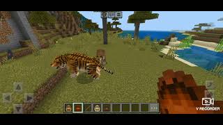 Smilodon Tiger and Ngandong Tiger vs Cave Lion and Americana Lion Minecraft batalla de felinos 🐯🐯🆚🦁🦁 [upl. by Redfield]