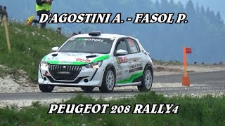 ALEX DAGOSTINI  PATRICH FASOL  PEUGEOT 208 RALLY4  RALLY SAN MARTINO 2024 [upl. by Kcirrag]