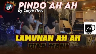 PINDO AH AH PASANG KANG TANPO WANGENAN Voc Diva Hani  DJ LAMUNAN Ah Ah VIRAL TIKTOK 2024 [upl. by Chemarin]