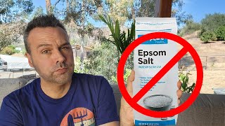 Why I Dont Use EPSOM SALTS in the Garden [upl. by Don281]