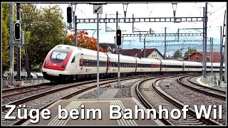 Zugsichtungen beim Bahnhof Wil  Kanton St Gallen  Schweiz 2024 [upl. by Nyliram]