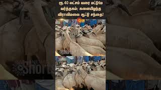 Viralimalai Goat Market  goat sale  Pudukottai  Sunnews [upl. by Fayre902]