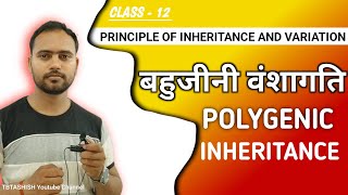 Polygenic Inheritance  Principles of Inheritance and Variation  Class 12 202425 [upl. by Atalie]