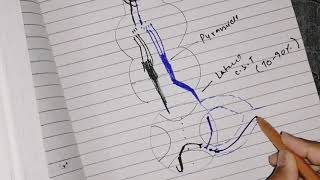 Corticospinal tracts  Desecending tracts Urdu Hindi 2020 neuroanatomy [upl. by Iat]