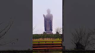 Ushiku daibutsu in Japan music travel japan buddha fyp follow [upl. by Rehpotsrihc]