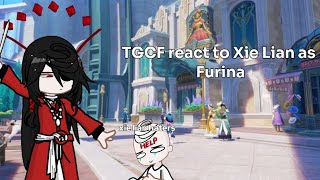 TGCF react to Xie Lian as Furina Genshin İmpact x Heavenly officials blessing Part 23 [upl. by Doehne]