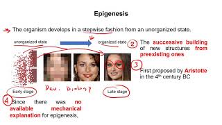 Preformation and epigenesis section 3 [upl. by Seana]