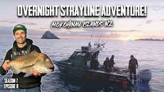 Offshore Islands Overnight Camping Mission  S7 EP8 Mokohinau Islands [upl. by Demha]