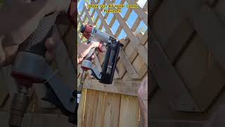 Staple Gun air nailer Central Pneumatic Stapler Gun airnailer staplegun shortsfeed shorts [upl. by Arnon]