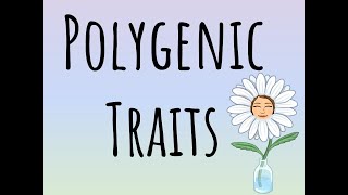 Polygenic Traits [upl. by Savinirs231]