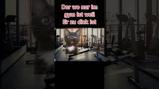 cat unicute gym meme funny [upl. by Eleen]