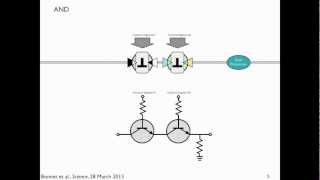 Transcriptors amp Boolean Integrase Logic BIL gates explained [upl. by Assiluy]