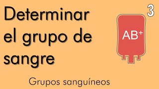 Grupos sanguíneos  video 3 [upl. by Nanfa]