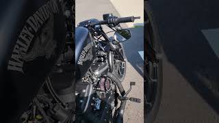 Custom Harley Davidson Sportster Iron 883 iron883 [upl. by Acirdna]