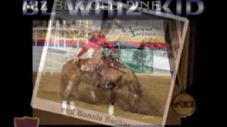 BL WHIZ KID  1996 Stallion [upl. by Nona]