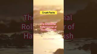 The Emotional Rollercoaster of Having a Crush [upl. by Malchy]