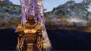 Skyrim Builds  The Paatru [upl. by Thetos]