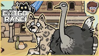 Cheetah amp Ostrich Best Friends Forever  Cat God Ranch [upl. by Acirem208]