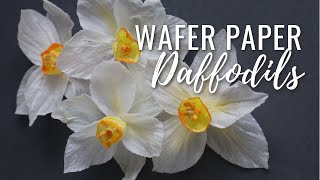 How to Make Wafer Paper Daffodils  free template download Wafer Paper Friday Ep 3 [upl. by Frolick]