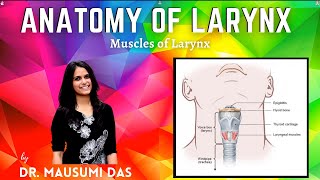 Muscles of Larynx  Origin Insertion Nerve supply Action [upl. by Charyl332]