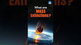 What are Mass Extinctions Explained in 30 seconds shorts climatechange [upl. by Aelahs998]