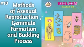 Methods of Asexual Reproduction l Gemmule Formation and Budding Process Explained l 12thclassbiology [upl. by Damicke]