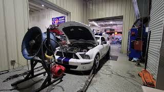 2009 GT500 shelby mustang whipple supercharged cams and more 17 psi [upl. by Fitalludba]