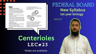 Centerioles  Centerioles structure and function  class 11 [upl. by Lenhart]