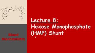 Blood Biochemistry  Hexose Monophosphate HMP Shunt [upl. by Flemings709]