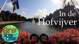 Wat leeft er in de Hofvijver in DEN HAAG 6 Ernst Kopje Onder [upl. by Ahsiemat825]