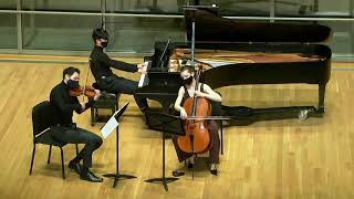 Piazzolla Four Seasons of Buenos Aires arr for Piano Trio [upl. by Lin537]