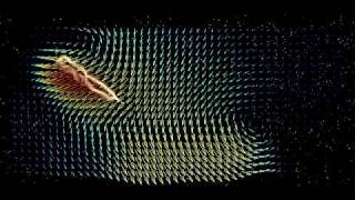 Particle Image Velocimetry of a Robotic Insect Wing [upl. by Coward503]