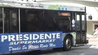 Various Miami Dade Transit buses [upl. by Ecarret]