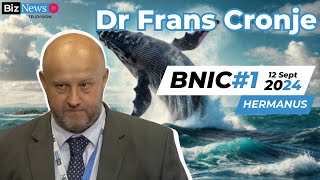 BNIC1 Frans Cronje South Africas path forward  GNUs strengths risks and future [upl. by Richmond]