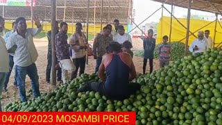 MOSAMBI PRICE TODAY मोसम्बी मार्किट भाव आजके जालना मार्किट [upl. by Luhem94]